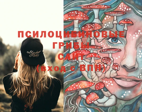 бошки Бородино
