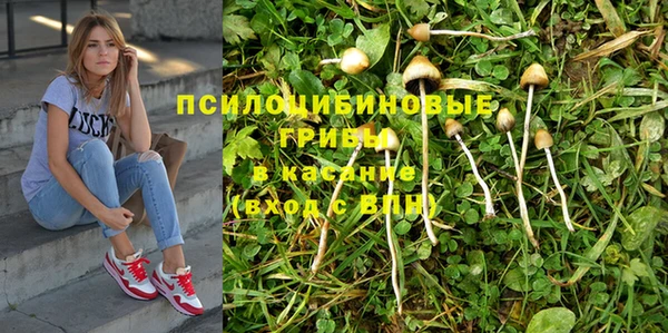 бошки Бородино