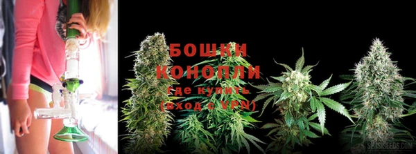 бошки Бородино