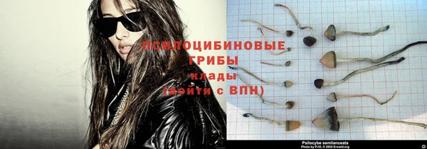 spice Бугульма